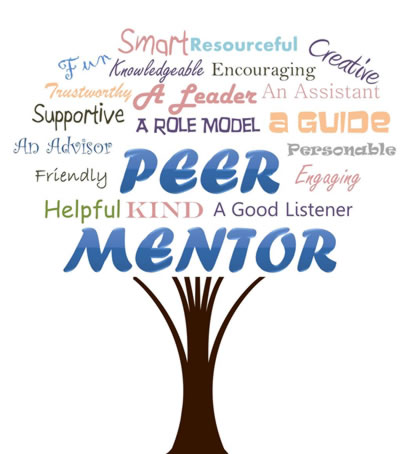 peer mentoring training peer mentor salary